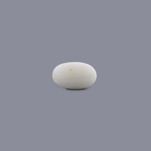 White Coral - 4.42 Carat - Pramogh