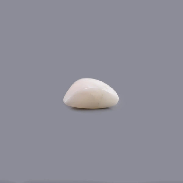 White Coral - 5.7 Carat - Pramogh