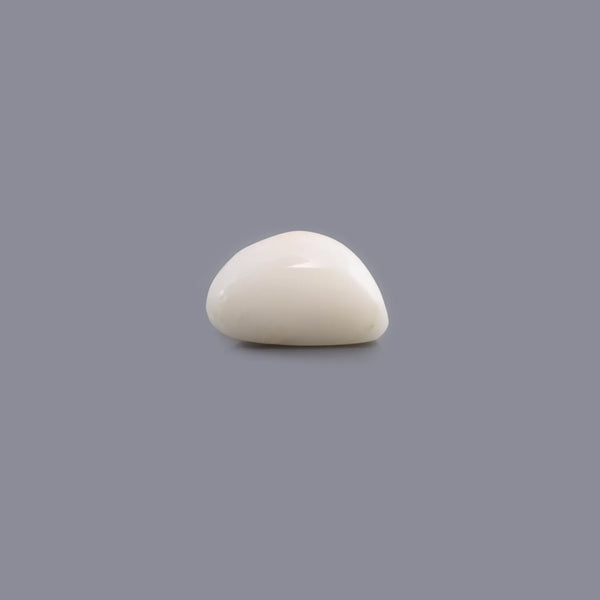 White Coral - 7.4 Carat - Pramogh