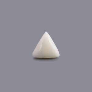White Coral - 5.4 Carat - Pramogh