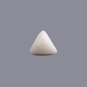 White Coral - 6.9 Carat - Pramogh