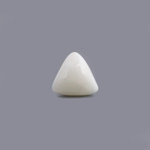 White Coral - 6.68 Carat - Pramogh