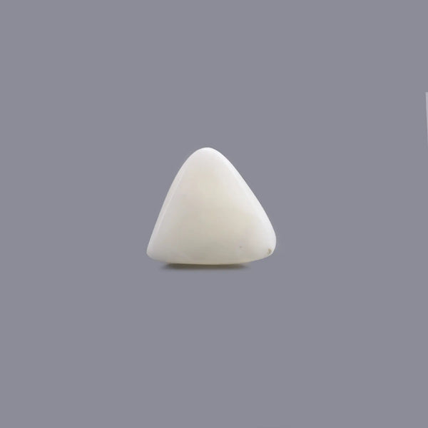 White Coral - 6.68 Carat - Pramogh