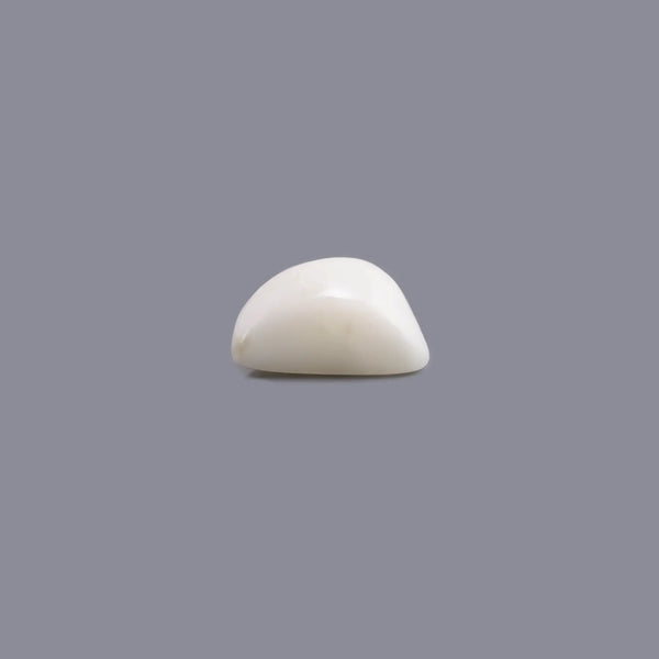White Coral - 6.68 Carat - Pramogh
