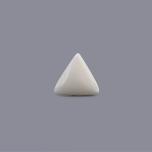 White Coral - 6.85 Carat - Pramogh