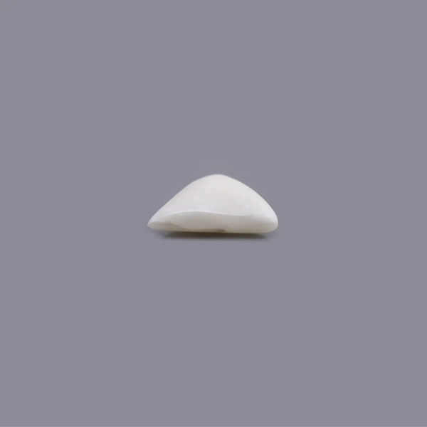 White Coral - 6.85 Carat - Pramogh