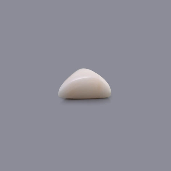 White Coral - 6.75 Carat - Pramogh
