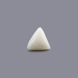 White Coral - 13.55 Carat - Pramogh