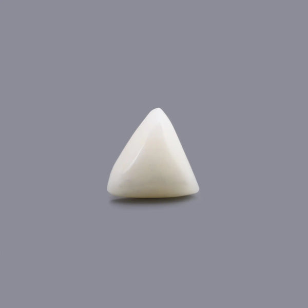 White Coral - 13.55 Carat - Pramogh