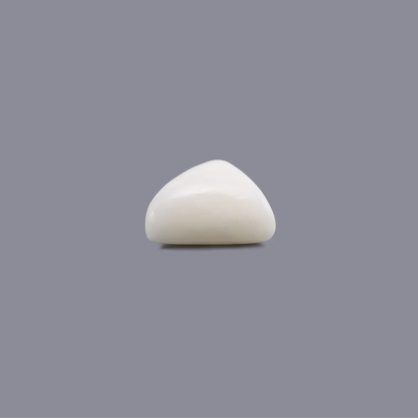 White Coral - 13.55 Carat - Pramogh