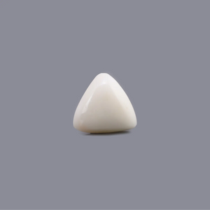 White Coral - 6.2 Carat - Pramogh