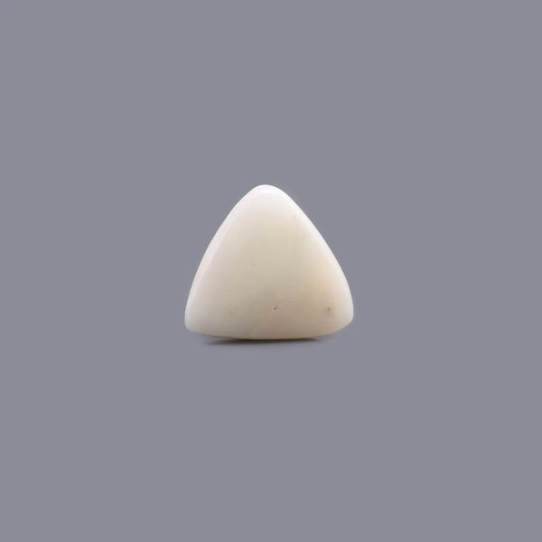 White Coral - 6.2 Carat - Pramogh