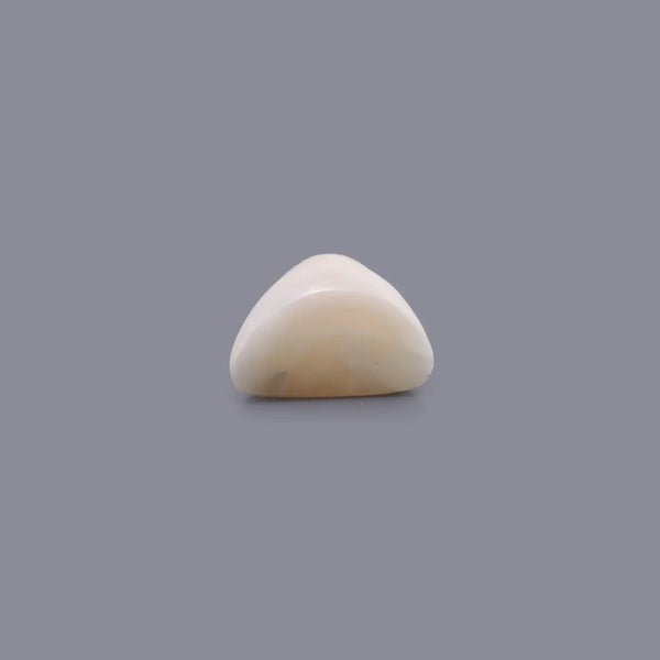 White Coral - 7.75 Carat - Pramogh