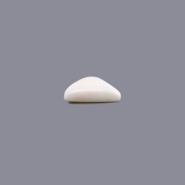 White Coral - 7.65 Carat - Pramogh