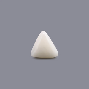White Coral - 7.25 Carat - Pramogh