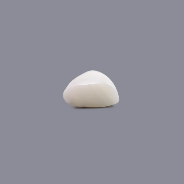 White Coral - 7.25 Carat - Pramogh