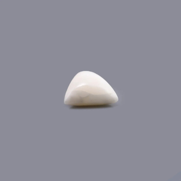 White Coral - 6.45 Carat - Pramogh