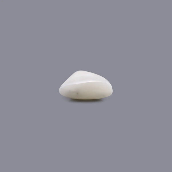 White Coral - 6.7 Carat - Pramogh