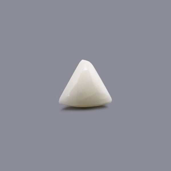 White Coral - 6.2 Carat - Pramogh