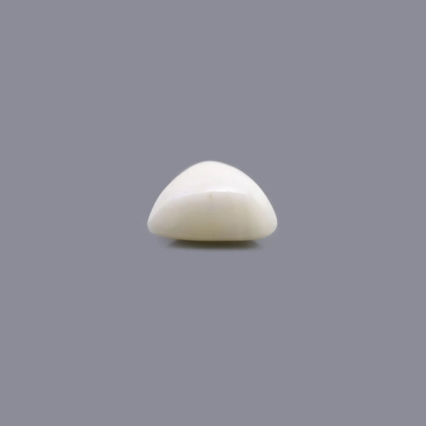 White Coral - 6.2 Carat - Pramogh