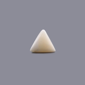 White Coral - 6.9 Carat - Pramogh