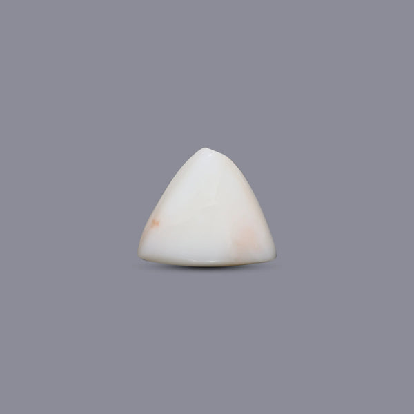 White Coral - 5 Carat