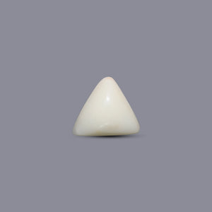Italian White Coral - 5.75 Carat - Pramogh