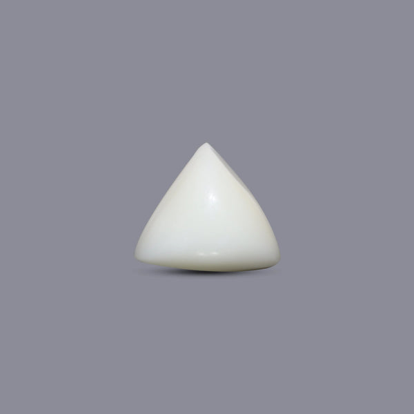 Italian White Coral - 7.95 Carat - Pramogh