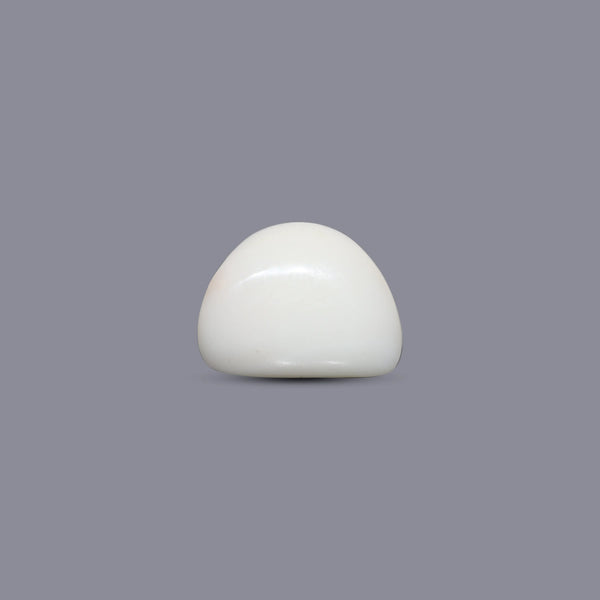 White Coral - 13.85 Carat