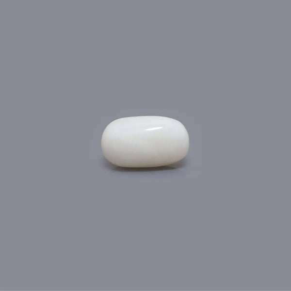 White Coral - 4.86 Carat - Pramogh