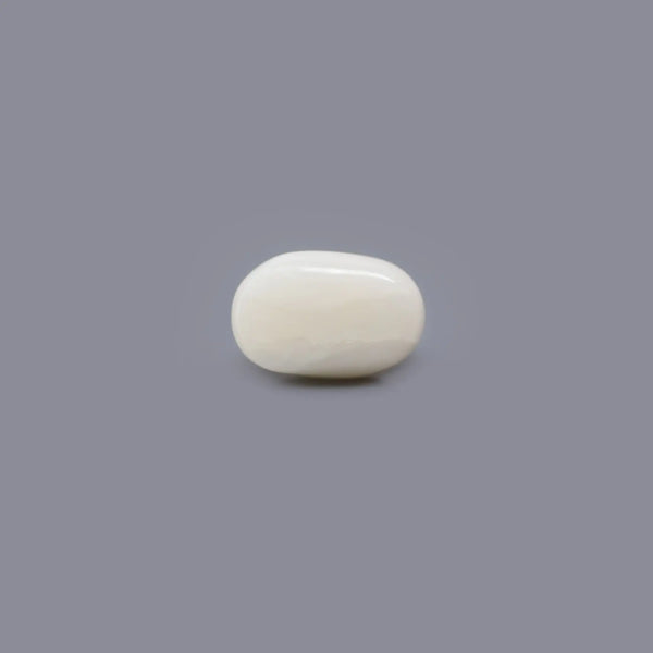 White Coral - 4.36 Carat - Pramogh