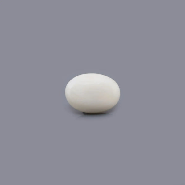 White Coral - 4.28 Carat - Pramogh