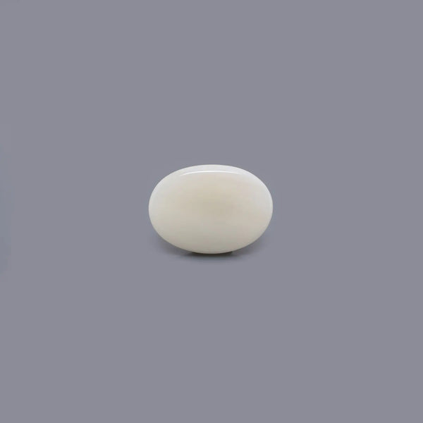 White Coral - 4.28 Carat - Pramogh