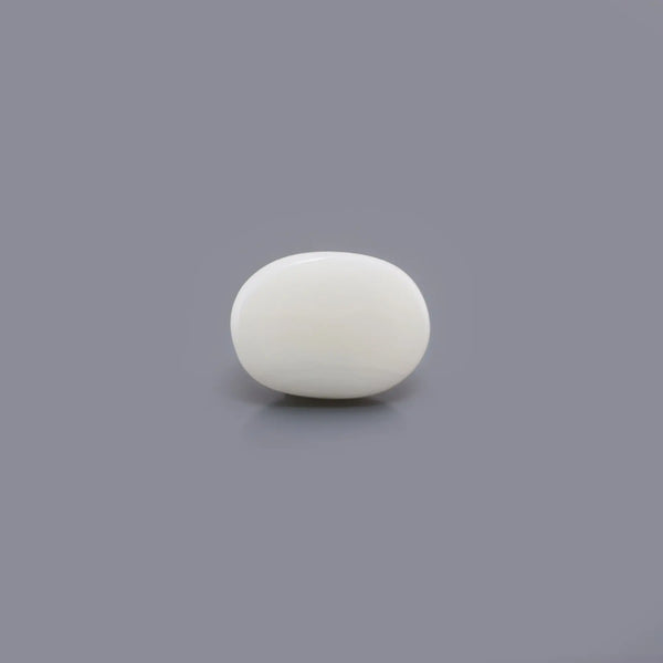 White Coral - 4.08 Carat - Pramogh