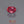 Load and play video in Gallery viewer, Ruby - 8.63 Carat