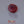Load and play video in Gallery viewer, Ruby - 9.97 Carat