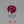 Load and play video in Gallery viewer, Ruby - 7.3 Carat