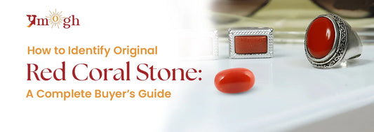How to Identify Original Red Coral Stone: A Buyer's Complete Guide