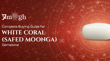 Complete Buying Guide for White Coral Stone (Safed Moonga) - Pramogh