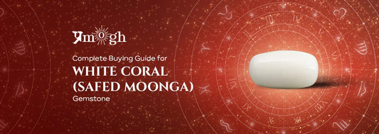 Complete Buying Guide for White Coral Stone (Safed Moonga) - Pramogh