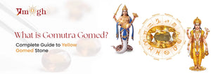 What is Gomutra Gomed? Complete Guide to Yellow Gomed Stone and Its Reality