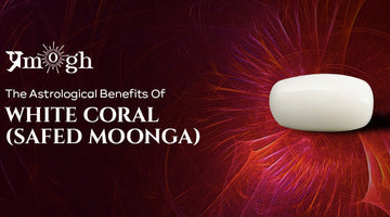 The Astrological Benefits Of White Coral (Safed Moonga) - Pramogh