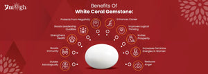 Astrological Benefits Of White Coral (Safed Moonga)