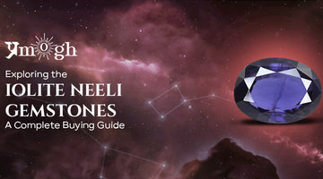 Your Complete Buying Guide to Neeli stone - Pramogh