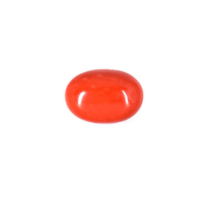 Red Coral-Moonga Gemstone - Pramogh