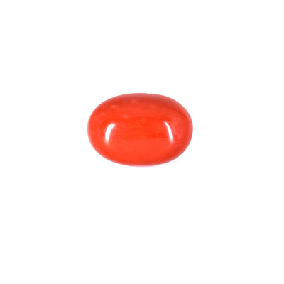 Red Coral - Moonga Gemstone - Pramogh