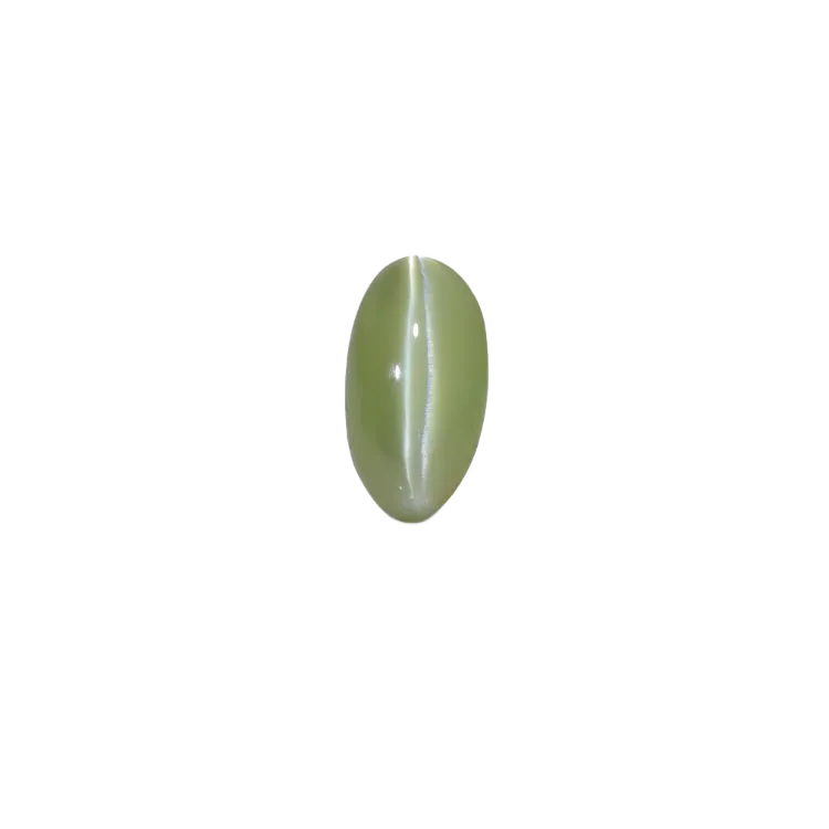 Cat's Eye Lehsunia