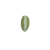 Cats Eye (Lehsunia)