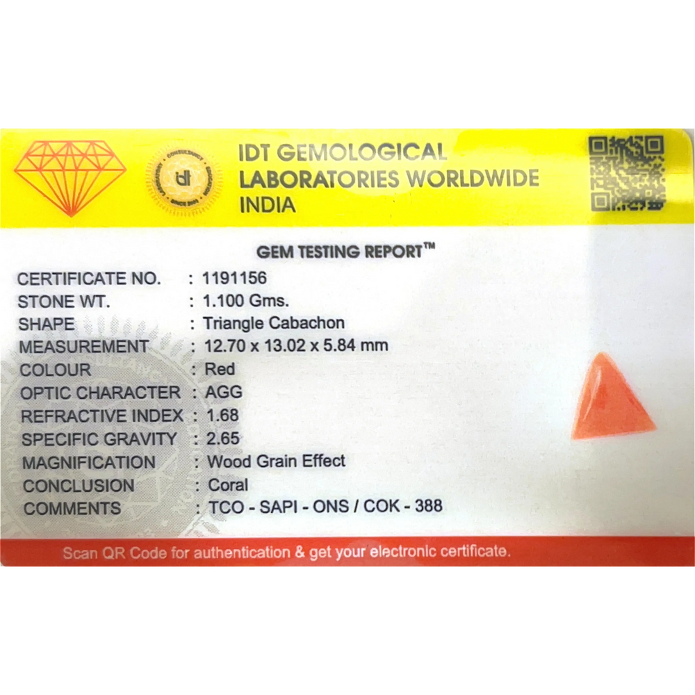 Red Coral - 5.5 Carat