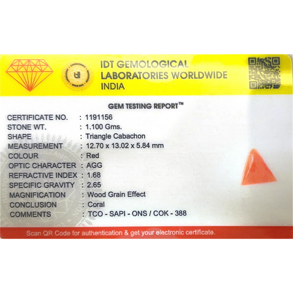 Red Coral - 5.5 Carat